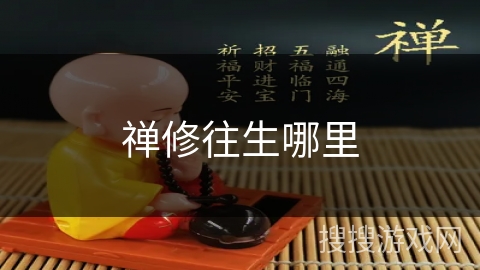 禅修往生哪里