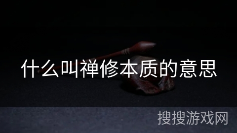 什么叫禅修本质的意思