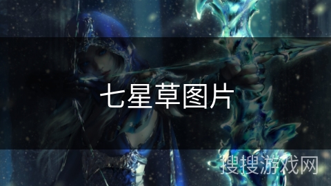 七星草图片