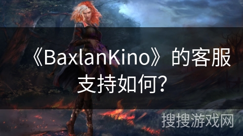 《BaxlanKino》的客服支持如何？