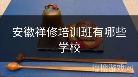 安徽禅修培训班有哪些学校