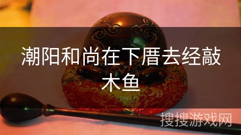 潮阳和尚在下厝去经敲木鱼