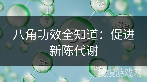 八角功效全知道：促进新陈代谢