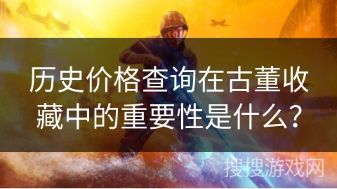 历史价格查询在古董收藏中的重要性是什么？