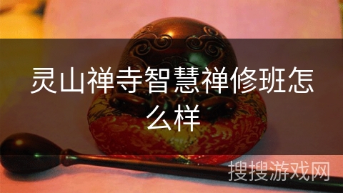 灵山禅寺智慧禅修班怎么样 灵山禅寺智慧禅修班怎么样