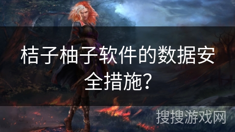 桔子柚子软件的数据安全措施? 桔子柚子软件的数据安全措施?