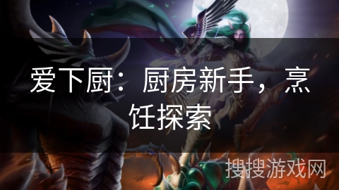 爱下厨:厨房新手,烹饪探索 爱下厨:厨房新手,烹饪探索