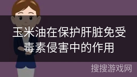 玉米油在保护肝脏免受毒素侵害中的作用