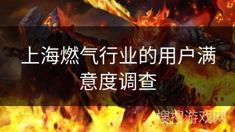 上海燃气行业的用户满意度调查 上海燃气行业的用户满意度调查