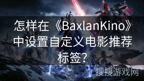 怎样在《BaxlanKino》中设置自定义电影推荐标签？