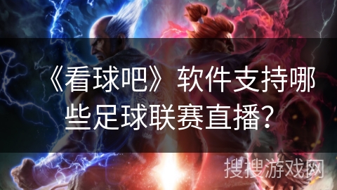 《看球吧》软件支持哪些足球联赛直播？