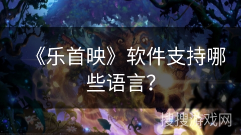 《乐首映》软件支持哪些语言？