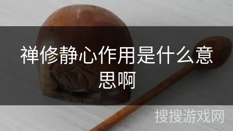 禅修静心作用是什么意思啊