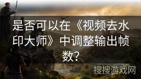 是否可以在《视频去水印大师》中调整输出帧数？