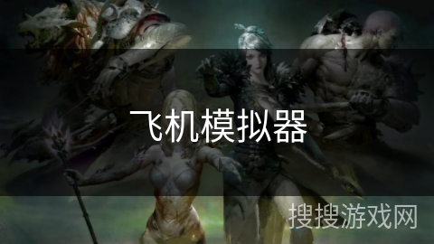 飞机模拟器