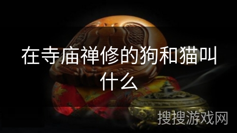 在寺庙禅修的狗和猫叫什么