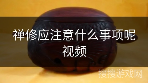 禅修应注意什么事项呢视频