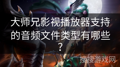 大师兄影视播放器支持的音频文件类型有哪些？