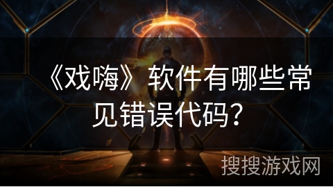 《戏嗨》软件有哪些常见错误代码？