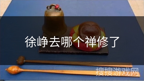 徐峥去哪个禅修了