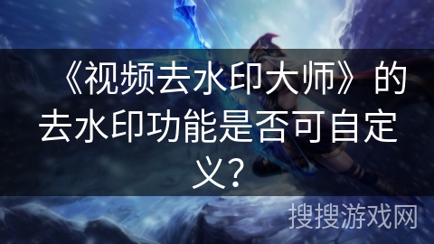 《视频去水印大师》的去水印功能是否可自定义？