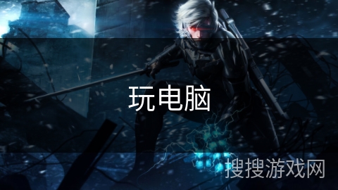 玩电脑