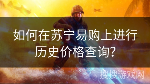 如何在苏宁易购上进行历史价格查询？