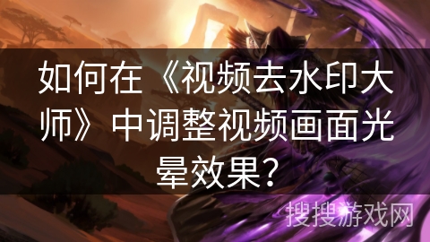 如何在《视频去水印大师》中调整视频画面光晕效果？