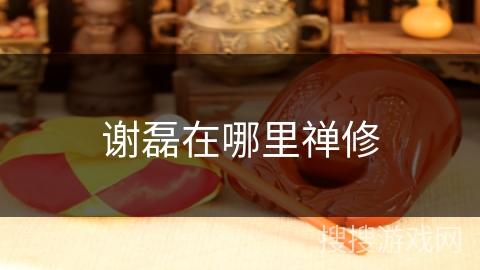 谢磊在哪里禅修