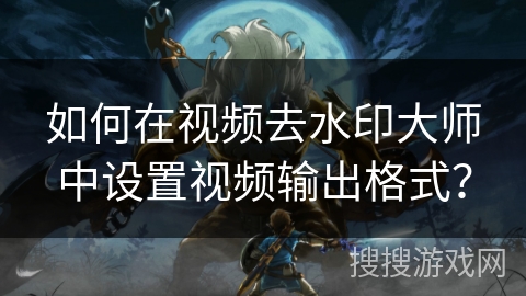如何在视频去水印大师中设置视频输出格式？