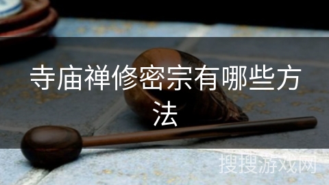 寺庙禅修密宗有哪些方法