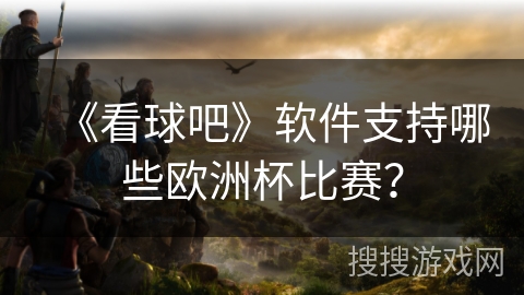 《看球吧》软件支持哪些欧洲杯比赛？