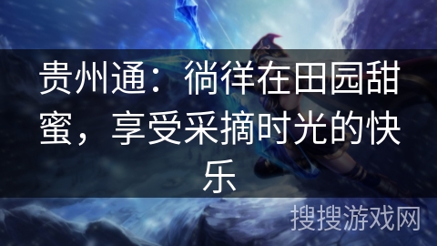 贵州通:徜徉在田园甜蜜,享受采摘时光的快乐 贵州通:徜徉在田园甜蜜,享受采摘时光的快乐