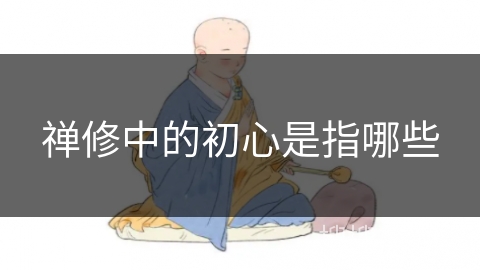禅修中的初心是指哪些 禅修中的初心是指哪些