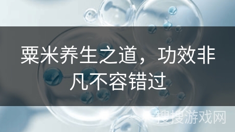 粟米养生之道,功效非凡不容错过