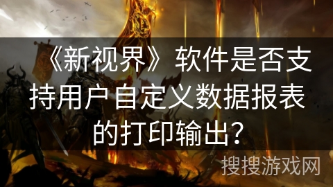 《新视界》软件是否支持用户自定义数据报表的打印输出？