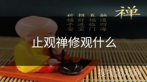 止观禅修观什么 止观禅修观什么