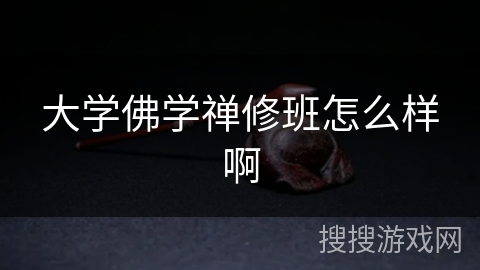大学佛学禅修班怎么样啊 大学佛学禅修班怎么样啊