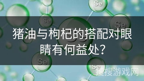 猪油与枸杞的搭配对眼睛有何益处?