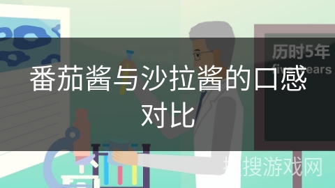 番茄酱与沙拉酱的口感对比