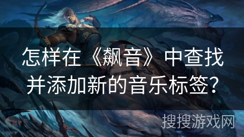 怎样在《飙音》中查找并添加新的音乐标签？
