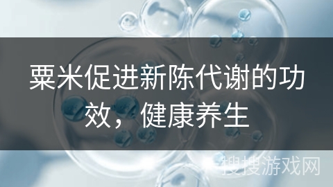 粟米促进新陈代谢的功效,健康养生