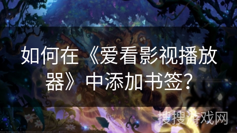 如何在《爱看影视播放器》中添加书签？