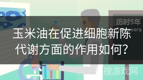 玉米油在促进细胞新陈代谢方面的作用如何?