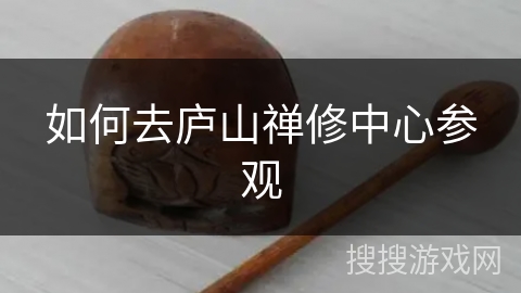 如何去庐山禅修中心参观
