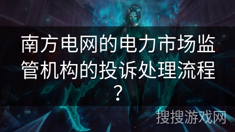 南方电网的电力市场监管机构的投诉处理流程？