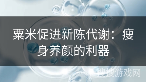 粟米促进新陈代谢:瘦身养颜的利器