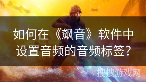 如何在《飙音》软件中设置音频的音频标签? 如何在《飙音》软件中设置音频的音频标签?