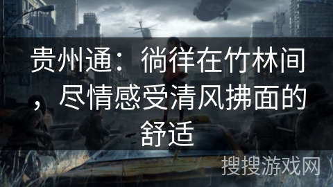 贵州通：徜徉在竹林间，尽情感受清风拂面的舒适