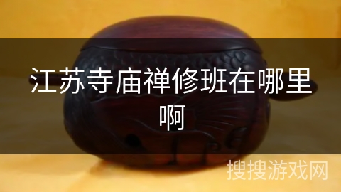 江苏寺庙禅修班在哪里啊 江苏寺庙禅修班在哪里啊